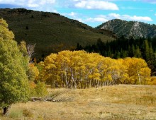 Fall Colours & Fine Coffee At June Lake