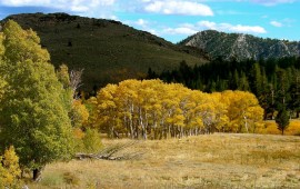 Fall Colours & Fine Coffee At June Lake
